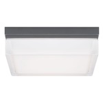Boxie Outdoor Wall / Ceiling Light Fixture - Charcoal / White