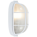 Nauticus Oval Outdoor Bulkhead Wall / Ceiling Light - White / Frosted