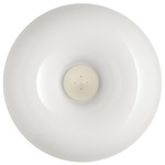 Circus Wall/Ceiling Mount - Satin Nickel / Polished White