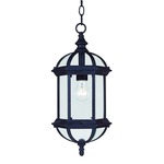 Kensington Outdoor Pendant - Textured Black / Clear