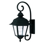 Westover Outdoor Wall Light - Textured Black / Clear