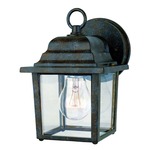 3045 Outdoor Wall Light - Rustic Bronze / Clear