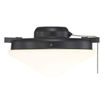 M2027 Fan Light Kit - Matte Black / White