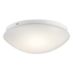 Classic LED Ceiling Light Fixture - White / White