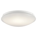 Classic LED Ceiling Light Fixture - White / White