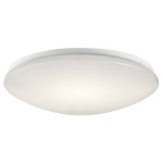 Classic LED Ceiling Light Fixture - White / White