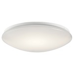 Classic LED Ceiling Light Fixture - White / White