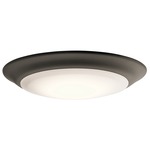 43848T Flush Mount Ceiling Light - Olde Bronze / White