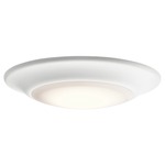 43848T Flush Mount Ceiling Light - White / White