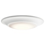 43848T Flush Mount Ceiling Light - White / White