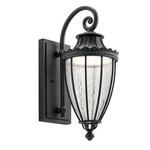 Wakefield Outdoor Wall Sconce - Textured Black / Clear