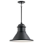 Northland Outdoor Pendant - Black