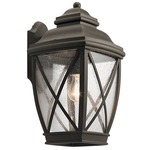 Tangier Outdoor Wall Light - Olde Bronze / Clear Seeded