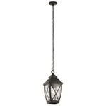 Tangier Outdoor Pendant - Olde Bronze / Clear Seeded