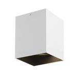 Exo Ceiling Light - Matte White / Black