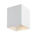 Exo Ceiling Light - Matte White / White