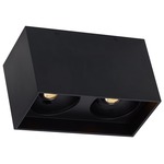 Exo Dual Ceiling Light - Matte Black / Black 