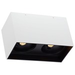 Exo Dual Ceiling Light - Matte White / Black