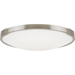 Lance Ceiling / Wall Light - Satin Nickel / Frosted