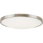 Vance Wall / Ceiling Light - Satin Nickel / Frosted