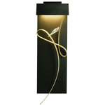 Rhapsody Wall Sconce - Black / Soft Gold