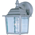 Builder 1025 Outdoor Wall Light - Pewter / Clear