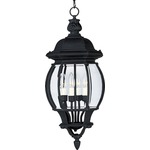 Crown Hill Outdoor Pendant - Black / Clear