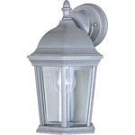 Builder 1024 Outdoor Wall Light - Pewter / Clear