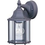 Builder 1026 Outdoor Wall Light - Black / Clear