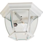 1029 Outdoor Ceiling Light Fixture - White / Clear