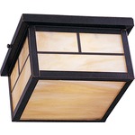Coldwater Outdoor Ceiling Flush Light - Burnished / Honey