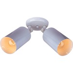 Spots Double Outdoor Wall / Ceiling Adjustable Spot Light - White