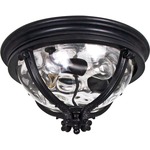 Camden VX Outdoor Ceiling Flush Light - Black / Water Glass