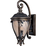 Camden VX Outdoor Wall Light - Golden Bronze / Water Glass