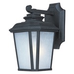 Radcliffe Outdoor Wall Light - Black Oxide / Weathered Frost