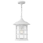 Freeport 120V Aluminum Outdoor Pendant - Classic White / Clear Seedy