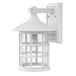 Freeport 120V Aluminum Outdoor Wall Sconce - Classic White / Clear Seedy