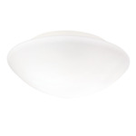 Janeiro Wall / Ceiling Light - White / Opal