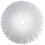 Muse Wall / Ceiling Mount - White / White