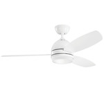 Vassar Ceiling Fan with Light - White / White / Silver