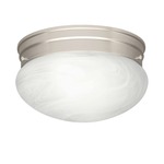 Space 820 Ceiling Light - Brushed Nickel / Alabaster