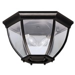 Barrie Outdoor Ceiling Light Fixture - Black / Clear