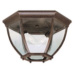 Barrie Outdoor Ceiling Light Fixture - Tannery Bronze / Clear