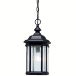 Kirkwood Outdoor Pendant - Black / Clear Seeded