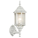 Chesapeake Outdoor Torch Wall Light - White / Clear
