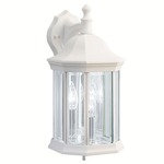 Chesapeake Outdoor Wall Sconce - White / Clear