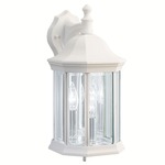 Chesapeake Decorative Canopy Outdoor Wall Sconce - White / Clear