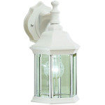 Chesapeake Decorative Canopy Outdoor Wall Sconce - White / Clear