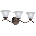 Dover Bathroom Vanity Light - Tannery Bronze / Etched Seedy
