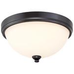 Shadowglen Ceiling Flush Light - Lathan Bronze / Etched White